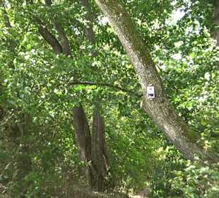 Wandertour Stahleck Greifenstein