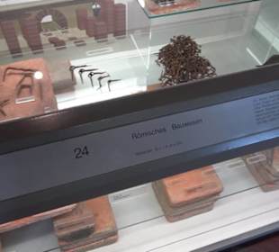 Archäologisches Museum