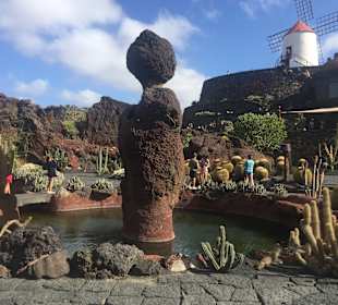 Jardin de Cactus / Kaktusgarten Guatiza