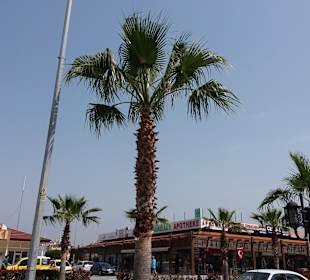 Stadtrundgang Side - Kumköy