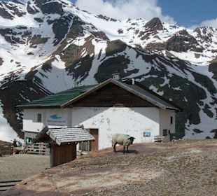 Rifugio Canziani metri 2561