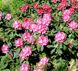 Impressionen vom Rundweg durch den Park