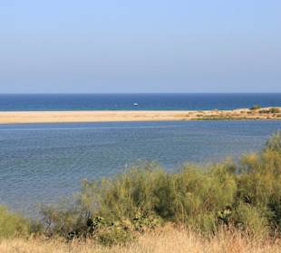 Blick in das Naturschutzgebiet