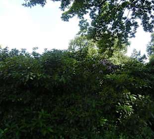 Parkanlage Planten un Blomen