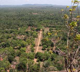 Sigiriya