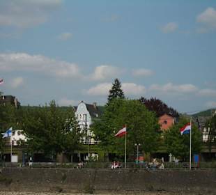 Blick von der Poseidon auf Linz
