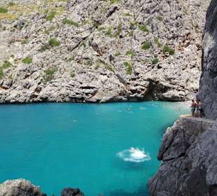 Klippenspringer Torrent De Pareis