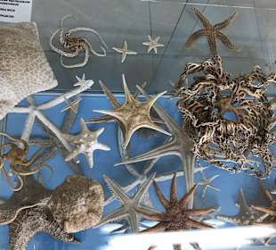 Inselrundfahrt Korfu