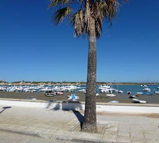 Fahrt zum Castillo de Sancti Petri