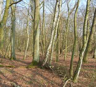 Wunderschöne Boberger Niederung