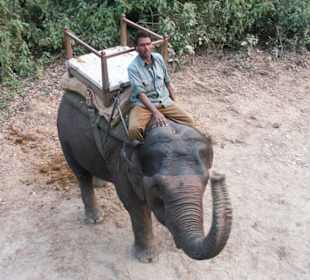 Vor dem Elefantenritt