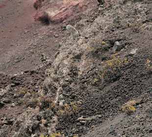 Viele Farben am Kraterrand