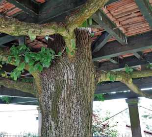 Blick zum Boden der Tanzfläche