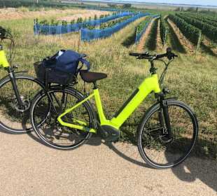 Wandern Mörbisch am See