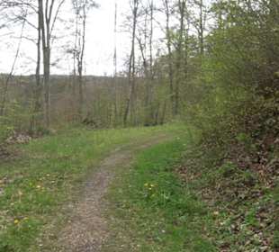 Premiumwanderweg Hochgebürzelt