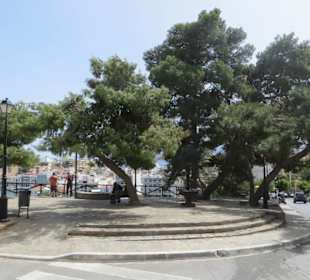 Von hier gibt es den besten Ausbick auf den Hafen