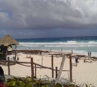 Küste Cozumel Mexiko