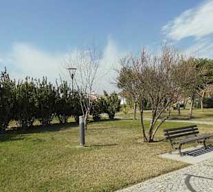 Auch viele Sitzmöglichkeiten gibt es