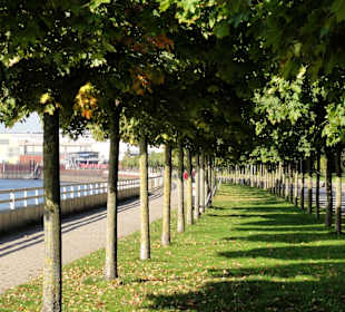 Spaziergang an der Weserpromenade