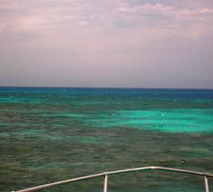 Speedboottour mit Oototo Holiday Service