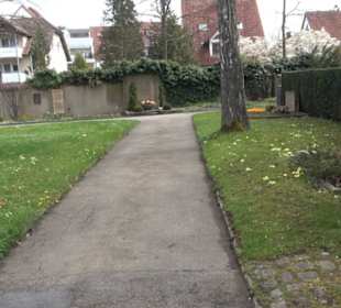Alter Friedhof