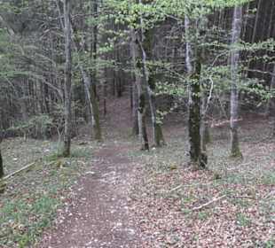 Wanderweg Hochgehswiggert
