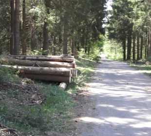 Waldlehrpfad an der Lauter