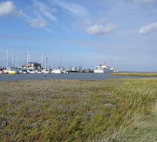 Salzwiesen Erlebnispfad Nessmersiel