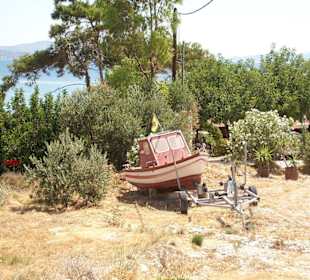 Eingang Taverne Pappa Beach