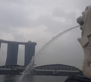 Merlion MBS