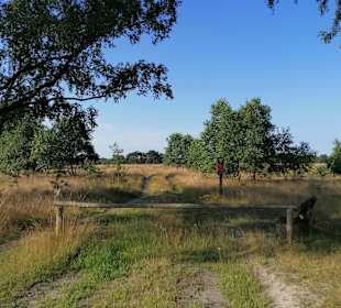 Lüneburger Heide 