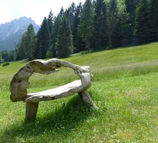 Baumsitzbank im Garten