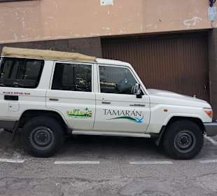 Jeep Tour zum Vulkan Teide, unser Jeep