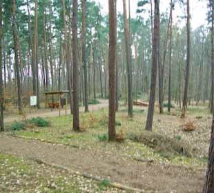 Im Wald beim Vestner Turm