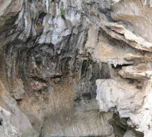 La grotta del bue marino