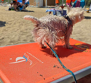 Da fühlt man sich wohl