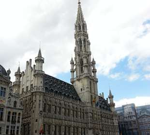 Blick auf das Rathaus