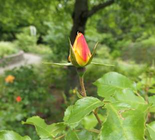 Unterwegs im Victoria-Park in Berlin Kreuzberg