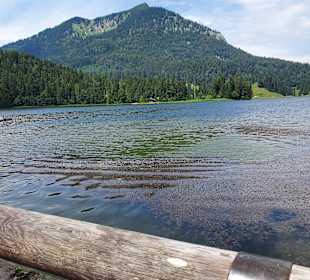 Wandern Spitzingsee