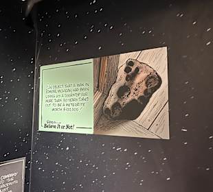 Museum Ripley's Believe It or Not!