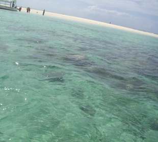 Ausflug Glasbodenboot Diani Beach
