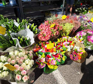 Rundgang über den Wochenmarkt von Port Vendres