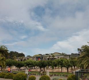 California Academy of Science