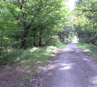 Hummelklingensee Walddorf