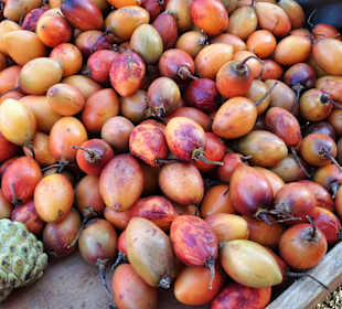 Rundgang über den Wochenmarkt von Saint-Paul