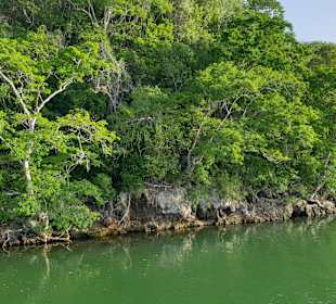 Tour & Ausflug Bayahibe