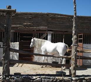 Texas Hollywood
