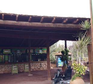 Ticket Center Oasis-Park Fuerteventura