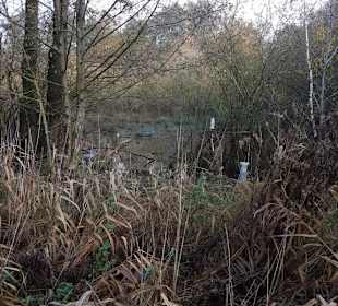 Hervester Bruch bei Dorsten
