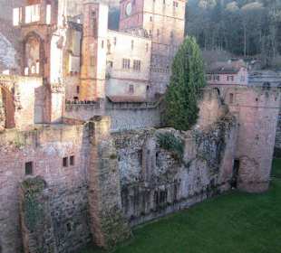 Das Heidelberger Schloss